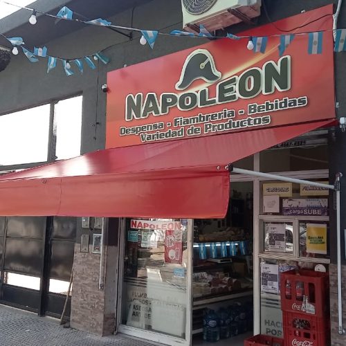 Toldo brazo simple para comercio